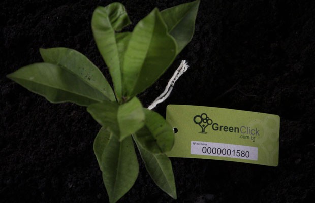 greenclick (1)