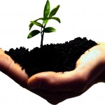 sustentabilidade
