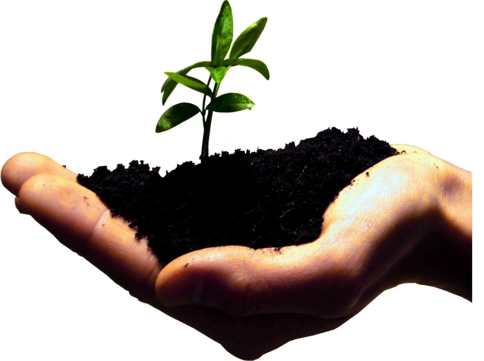 sustentabilidade