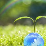 Sustentabilidade