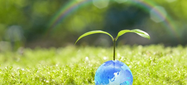 Sustentabilidade