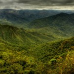 ciclovivo_floresta