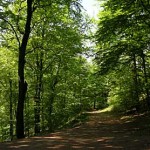 2044_DSCN9963