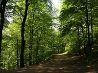 2044_DSCN9963