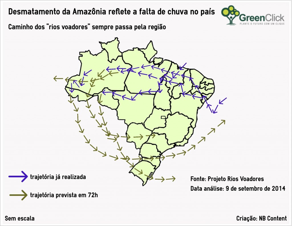 rios_voadores
