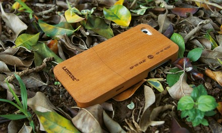 Timberland_interna