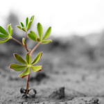 GreenClick-Sustentabilidade