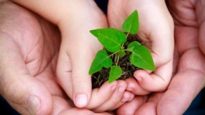frases_sustentabilidade