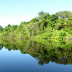 Floresta Amazônica