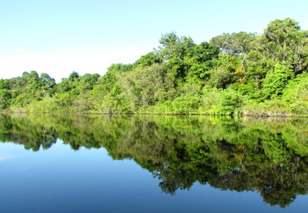Floresta Amazônica
